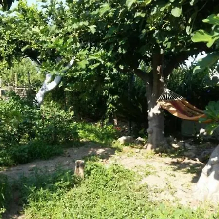 بيت للعطل Vacanze La Pinnata *
