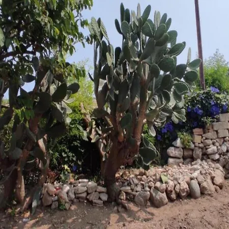 Vacanze La Pinnata Tropea