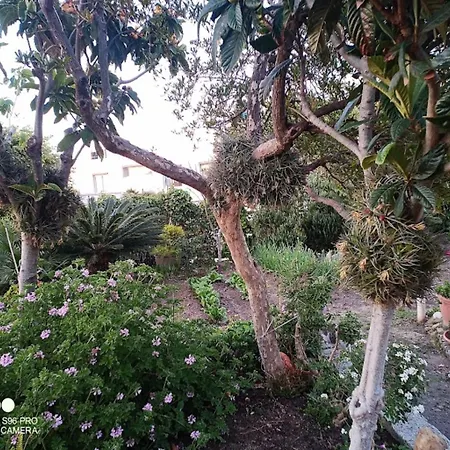 Ferienhaus Vacanze La Pinnata