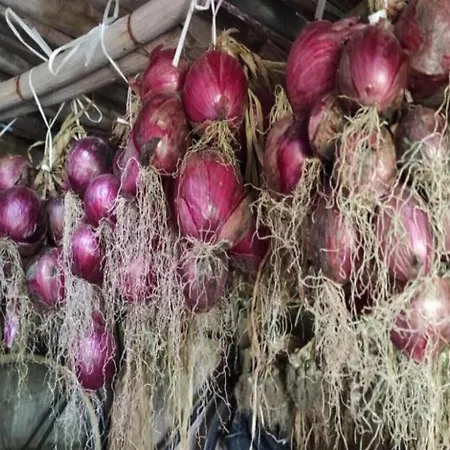 Vacanze La Pinnata Tropea