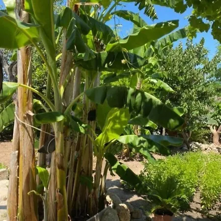 Vacanze La Pinnata * Тропея