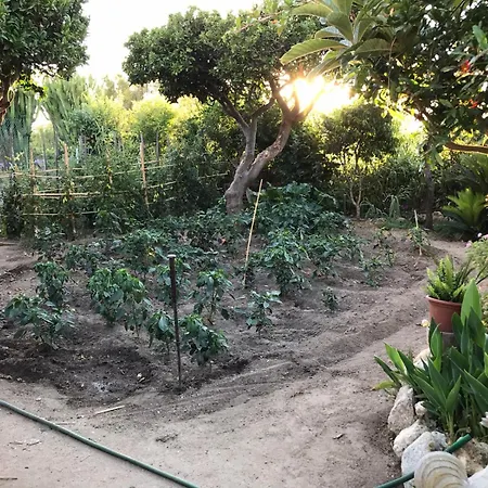 Vacanze La Pinnata *