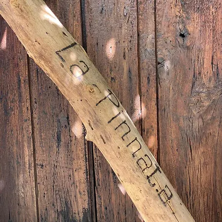 Vacanze La Pinnata *