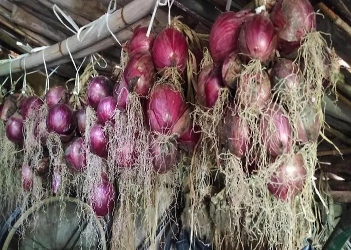 Vacanze La Pinnata Tropea