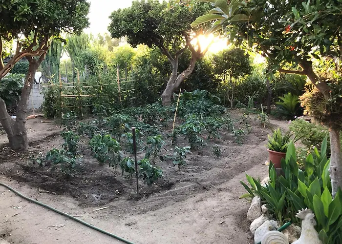 Vacanze La Pinnata *